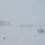 Record breaking snowfall March 2008 at Aubrey, Texas.