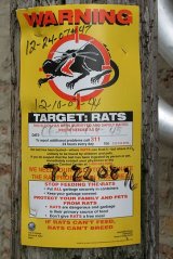 Rats Warning Sign