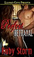 Perfect Betrayal by Ruby Storm