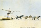 Dogsled